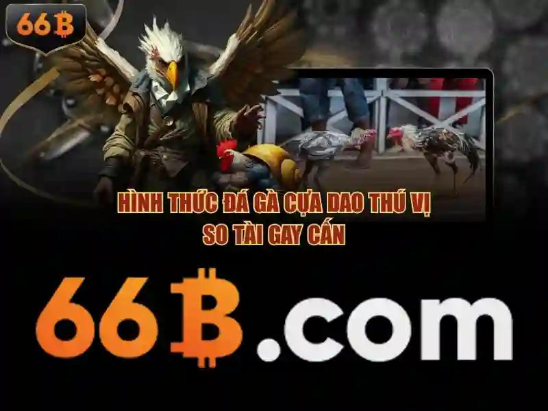 tải 66b: tổng quan, trải nghiệm và đánh giá hiệu quả