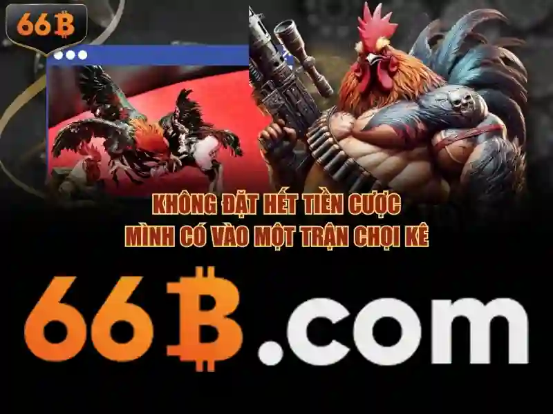 Ứng dụng và ảnh hưởng của 66b