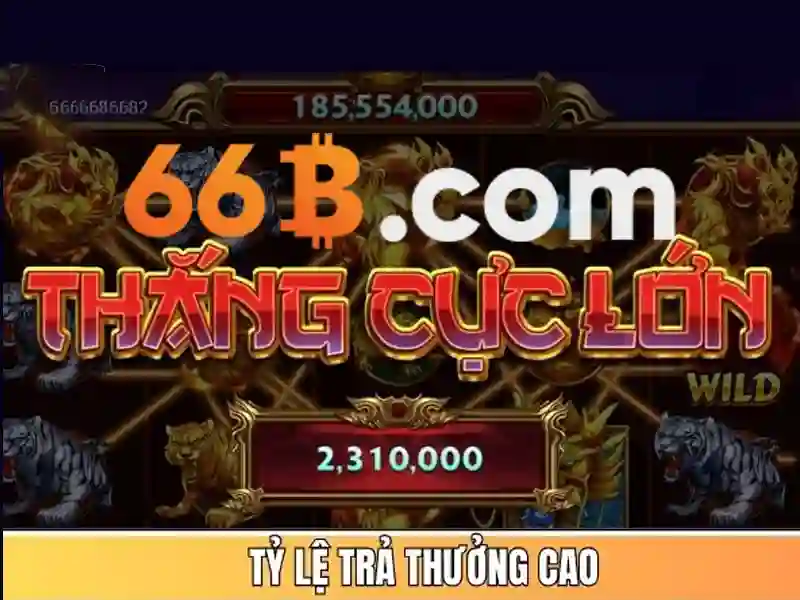 66b là gì và tại sao nó gây chú ý