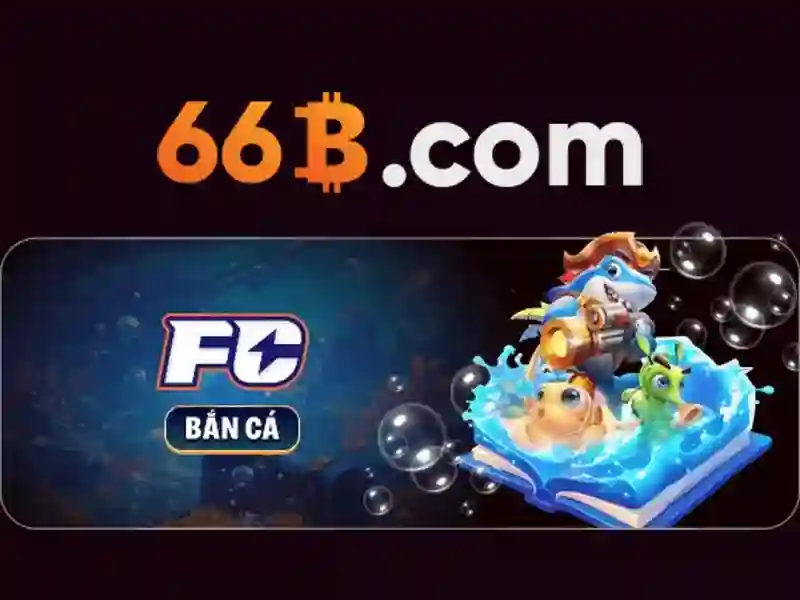 66b: một cái nhìn tổng quan