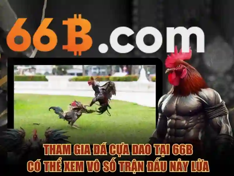 sata 66b/s - Đột phá tốc độ và kết nối dữ liệu