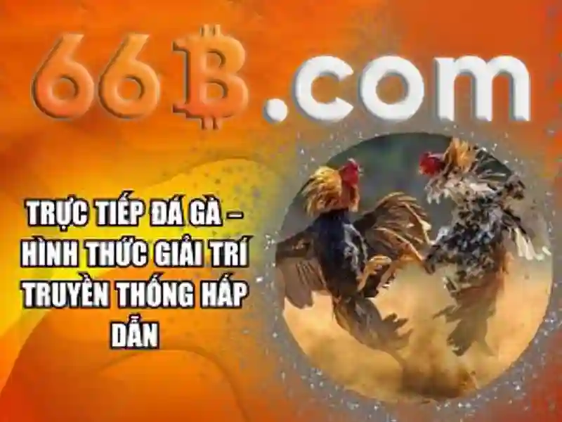 66b web: Nền tảng đột phá cho kinh doanh và thông tin