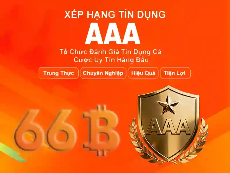 66b là gì và các ứng dụng nổi bật