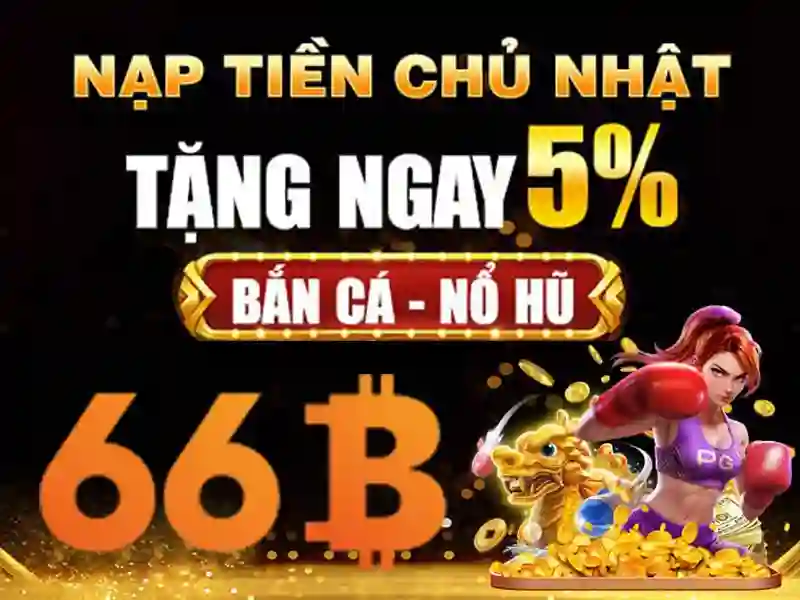 66b: Hành trình thương hiệu và trải nghiệm người dùng đột phá